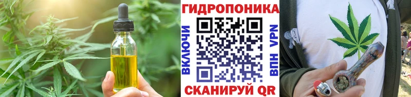 Cannafood конопля  Красноармейск 