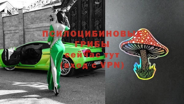 трава Абаза