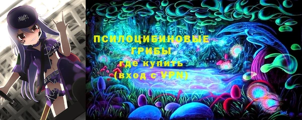 трава Абаза