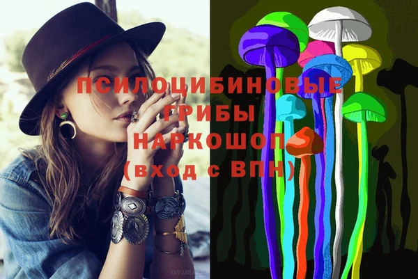 ПСИЛОЦИБИНОВЫЕ ГРИБЫ Абдулино