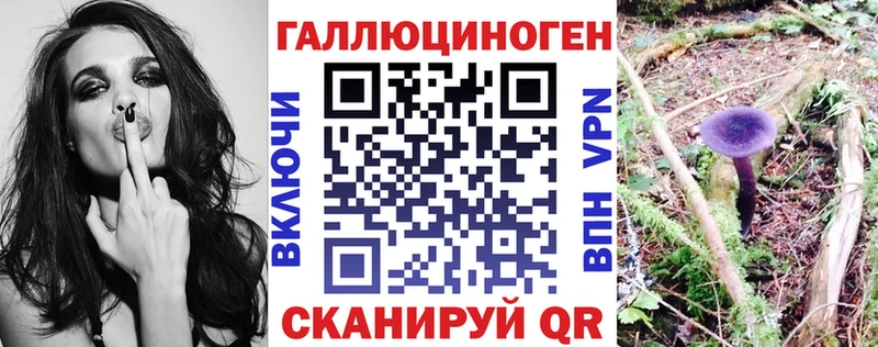 Псилоцибиновые грибы мицелий  купить наркоту  Красноармейск 